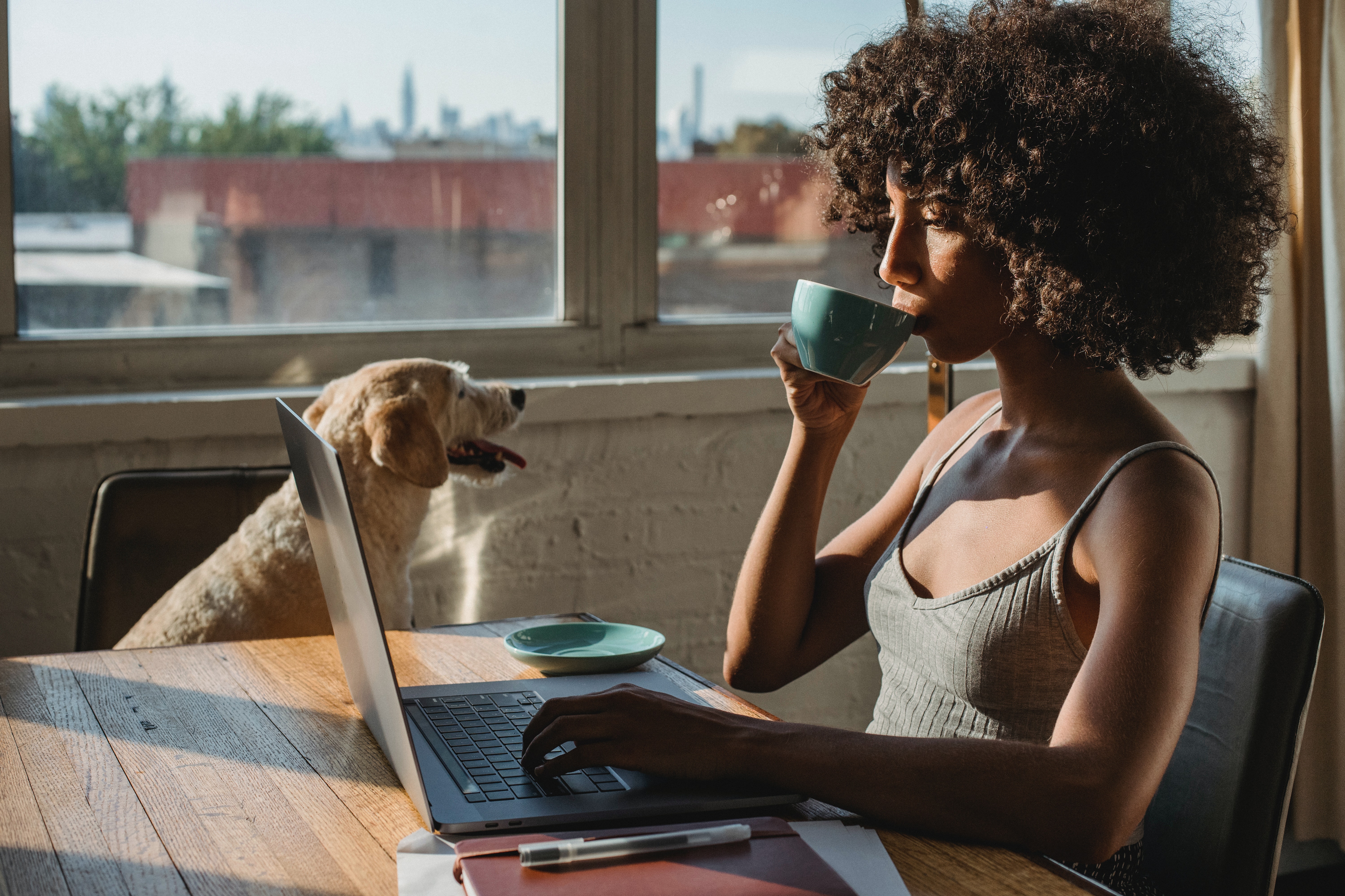 Woman drinking tea, facing a laptop with a dog on her side.